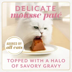 Fancy Feast Gems Mousse Pate Salmon & Gravy Halo Wet Cat Food (2 oz x 16 servings)