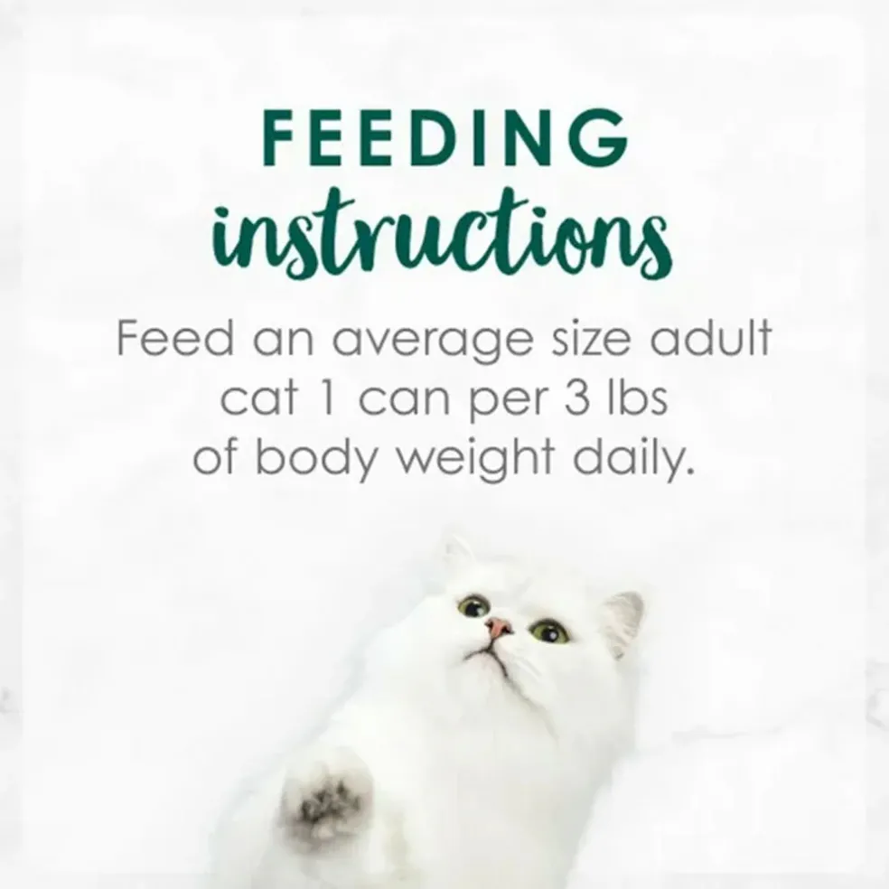 Fancy Feast Medleys Shredded Turkey Fare in Broth Wet Cat Food, 3-oz case of 24