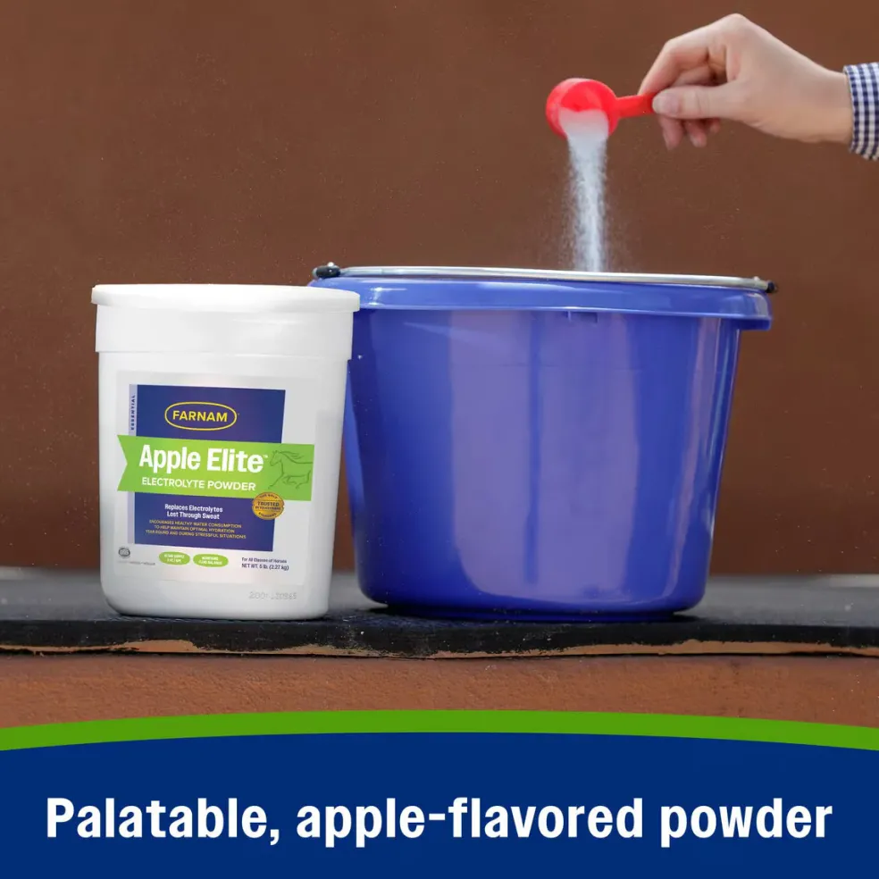 Farnam Apple Elite Apple Flavored Electrolyte Powder for Horses