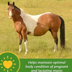 Farnam Mare Plus Gestation & Lactation Supplement for Horses