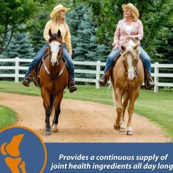 Farnam MaxFlex XR Extended Release Joint Supplement for Horses (30 day supply)