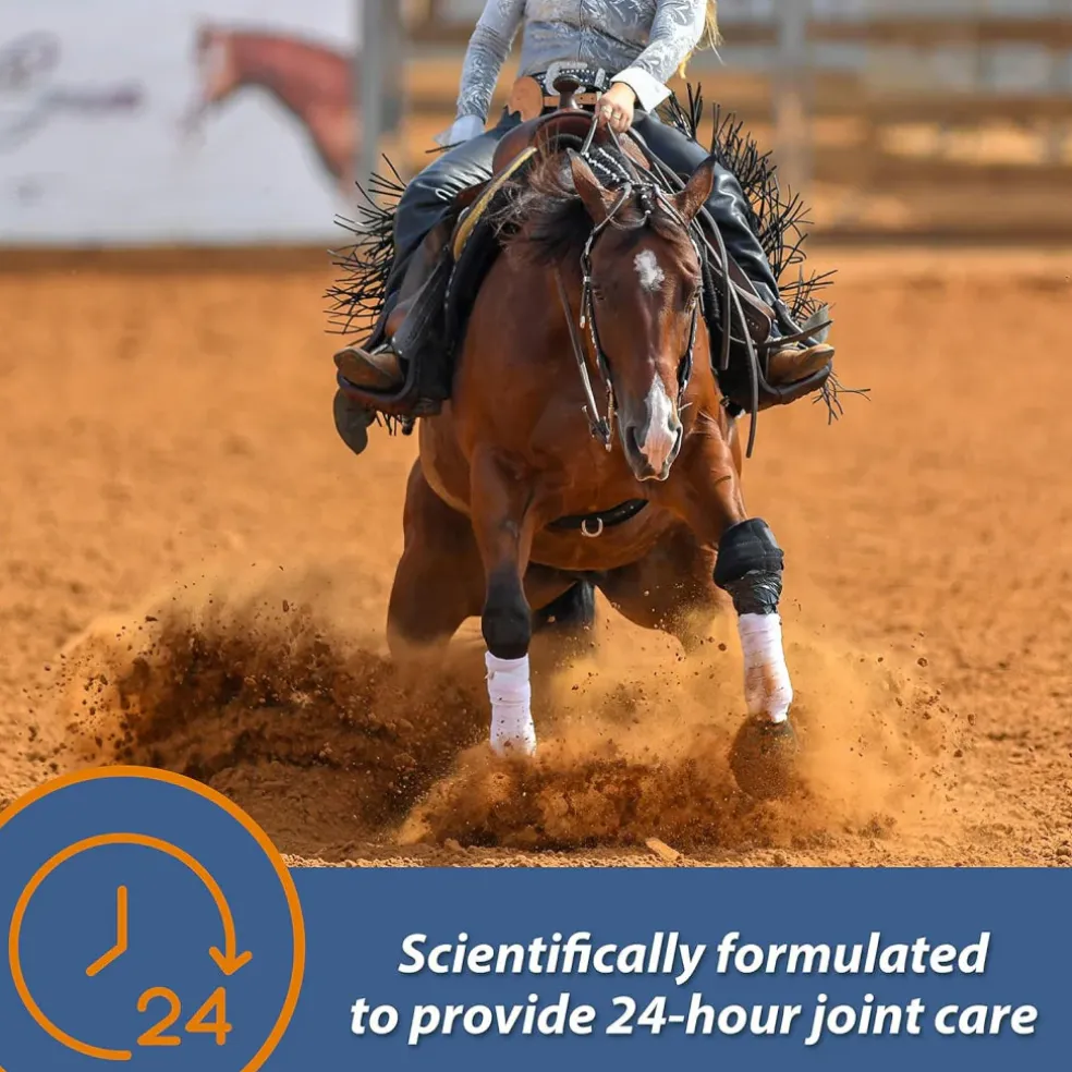 Farnam MaxFlex XR Extended Release Joint Supplement for Horses (30 day supply)