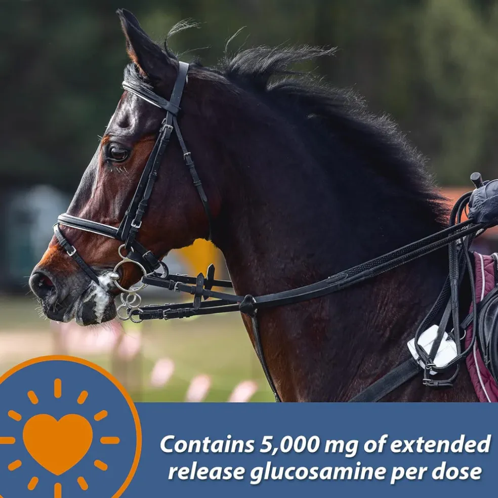 Farnam MaxFlex XR Extended Release Joint Supplement for Horses (30 day supply)