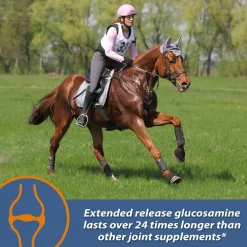 Farnam MaxFlex XR Extended Release Joint Supplement for Horses (30 day supply)