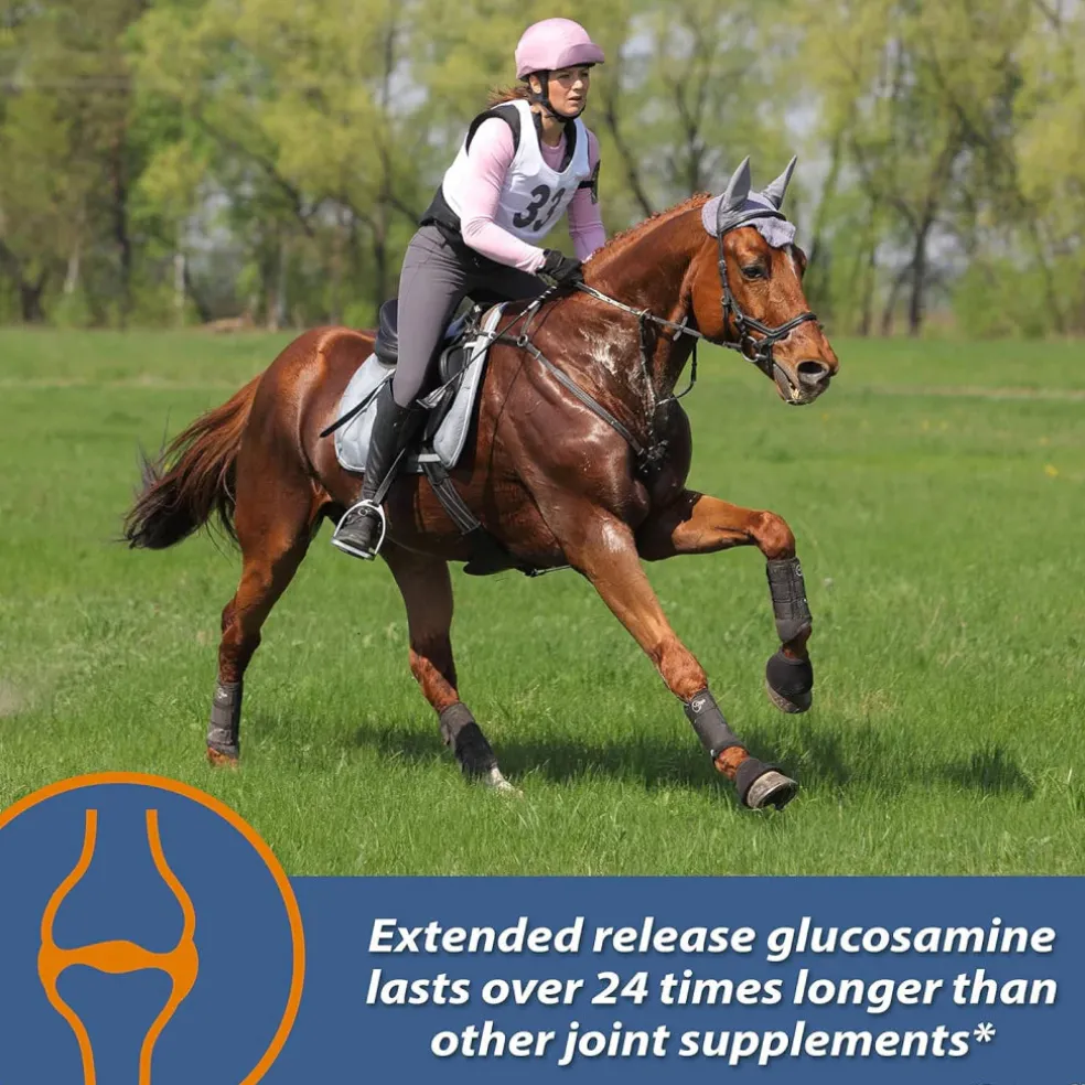 Farnam MaxFlex XR Extended Release Joint Supplement for Horses (30 day supply)