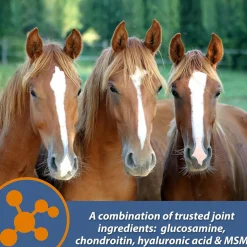 Farnam MaxFlex XR Extended Release Joint Supplement for Horses (30 day supply)