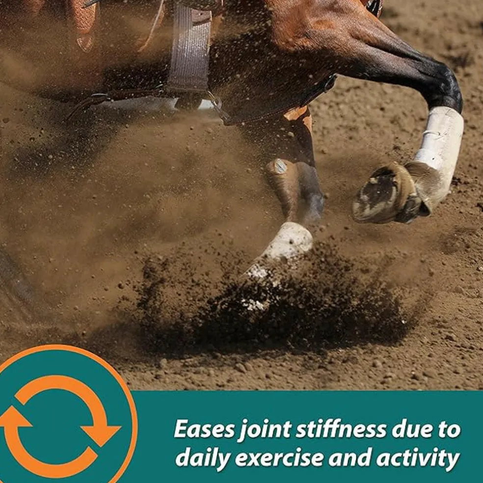 Farnam Next Level Joint Fluid Supplement, Supports Healthy Hip & Joint Function for Horses & Dogs (16 oz)
