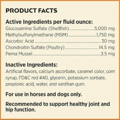 Farnam Next Level Joint Fluid Supplement, Supports Healthy Hip & Joint Function for Horses & Dogs (16 oz)