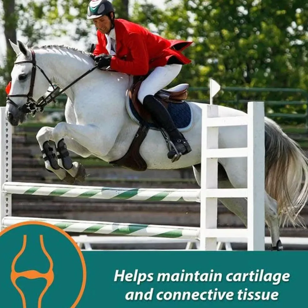 Farnam Next Level Joint Fluid Supplement For Horses (128 oz)