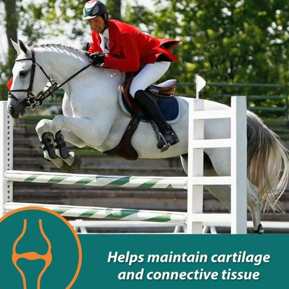 Farnam Next Level Joint Fluid Supplement For Horses (32 oz)