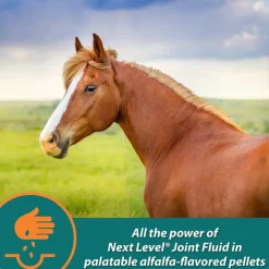 Farnam Next Level Joint Pellets for Horses (1.875 lb)