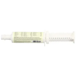 Farnam OTC Jug Electrolyte & Vitamin Paste for Horses (60 cc)
