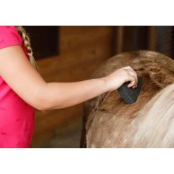 Farnam Slick 'N Easy Horse Grooming Block (1.25 oz)