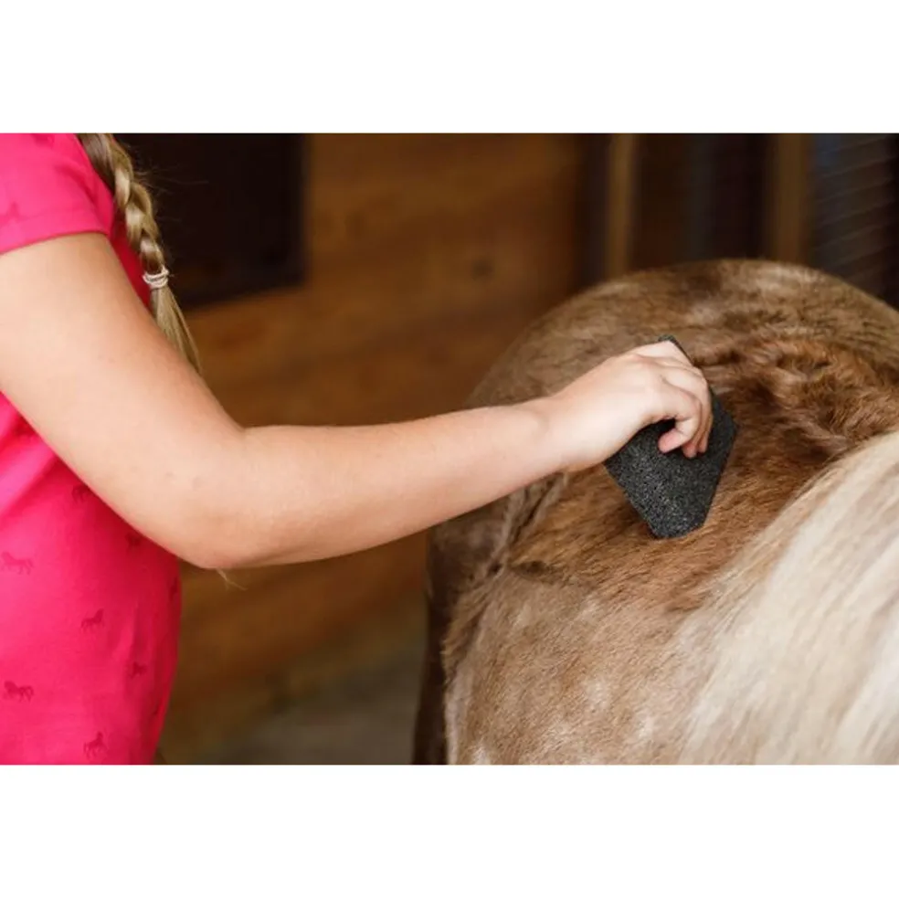 Farnam Slick 'N Easy Horse Grooming Block (1.25 oz)