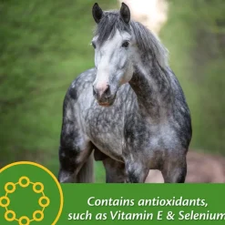 Farnam Vita Plus Balanced Multi-Vitamin & Mineral Supplement for Horses