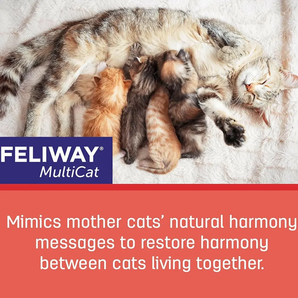 Feliway MultiCat 30 Day Starter Kit for Cats