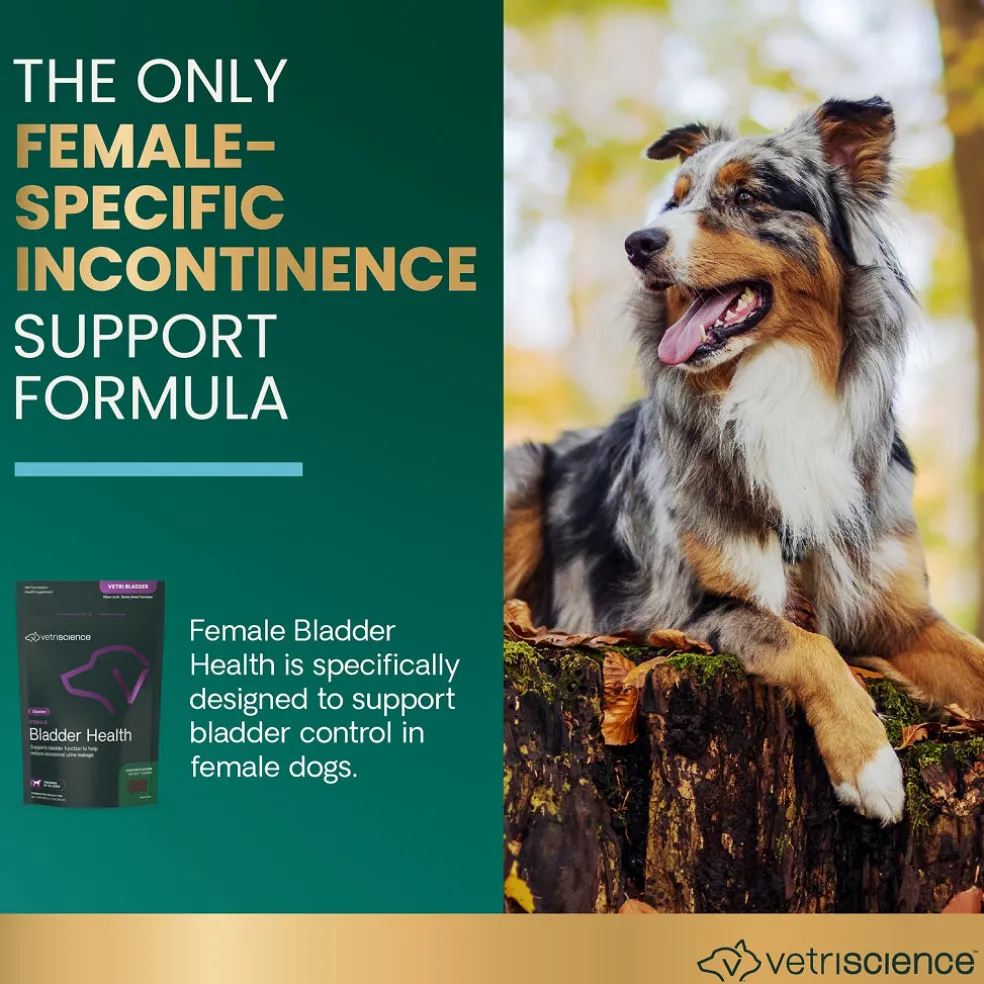 Female Bladder Health Chews for Dogs