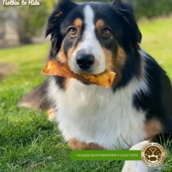 Fieldcrest Farms Nothin' to Hide Beef Flavor Flip Chips Chew Treats For Dogs (8 ct)