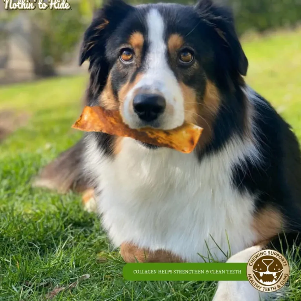 Fieldcrest Farms Nothin' to Hide Beef Flavor Flip Chips Chew Treats For Dogs (8 ct)