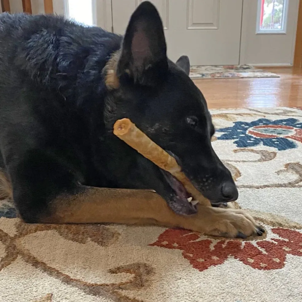 Fieldcrest Farms Nothin' to Hide Beef Flavor Chew Treats For Dogs
