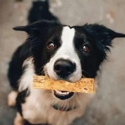 Fieldcrest Farms Nothin' to Hide Chicken Flavor Chew Treats For Dogs