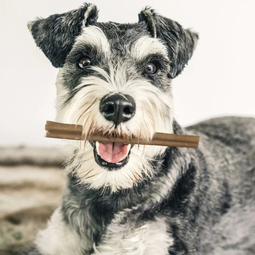 Fieldcrest Farms Premium Dog Chews 6" Bully Crunchers