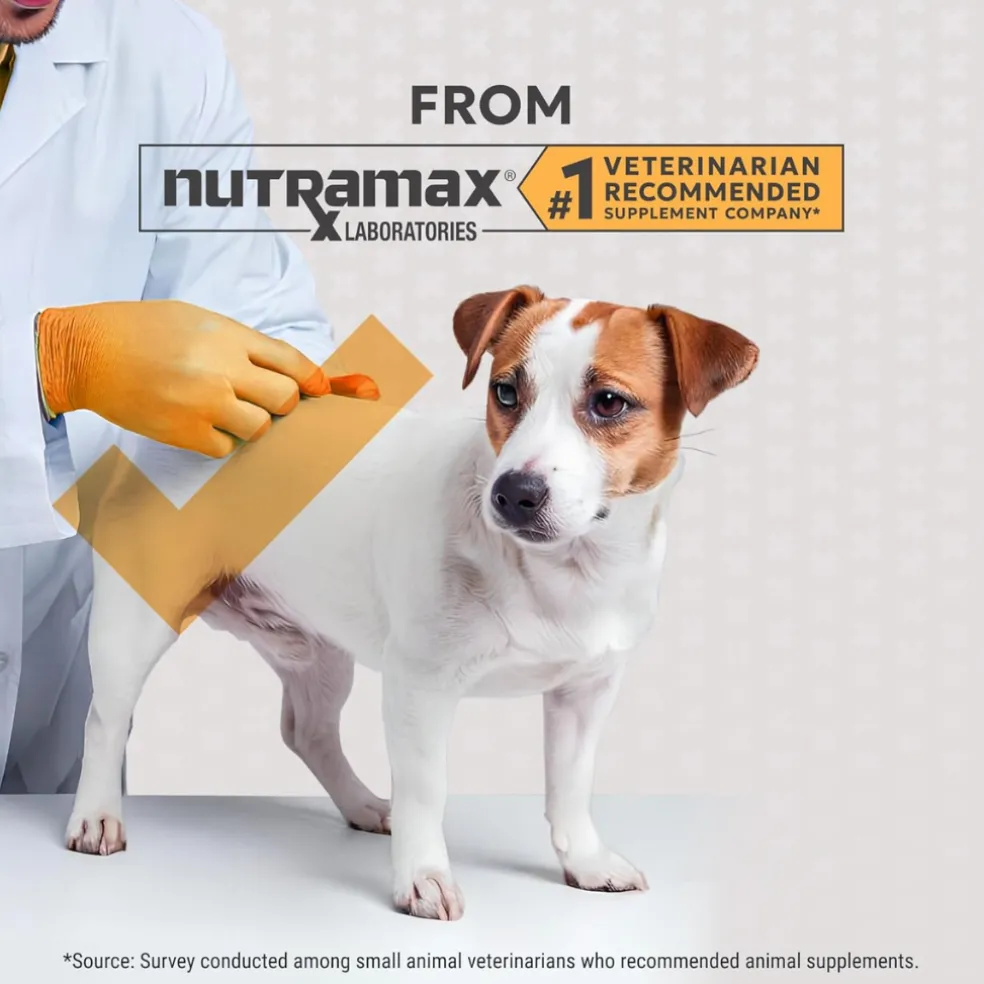 Filaquin Anal Gland (90 soft chews)