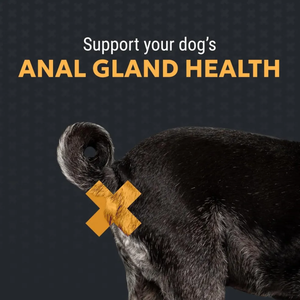 Filaquin Anal Gland (90 soft chews)