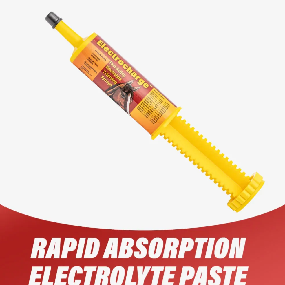 Finish Line Electrocharge Fast-Acting Electrolyte Paste for Horses (60 cc)