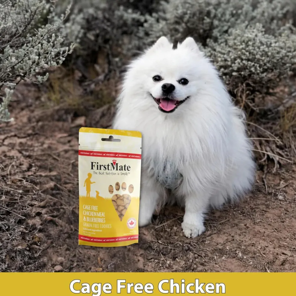 FirstMate Cage Free Chicken Meal & Blueberries Mini Trainers Grain Free Dog Treats (8 oz)