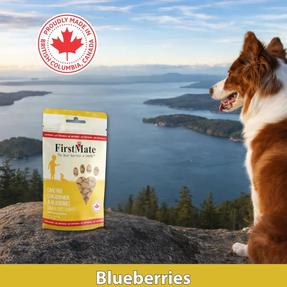 FirstMate Cage Free Chicken Meal & Blueberries Mini Trainers Grain Free Dog Treats (8 oz)