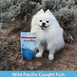 FirstMate Wild Pacific Caught Fish Meal & Blueberries Mini Trainers Grain Free Dog Treats (8 oz)