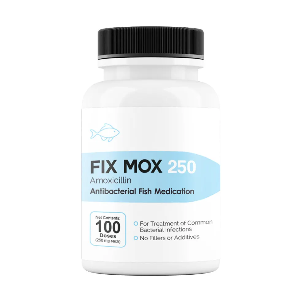 Fix Mox (Amoxicillin) Capsules Fish Antibiotics