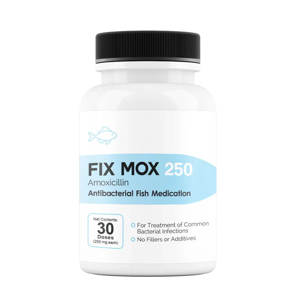 Fix Mox (Amoxicillin) Capsules Fish Antibiotics