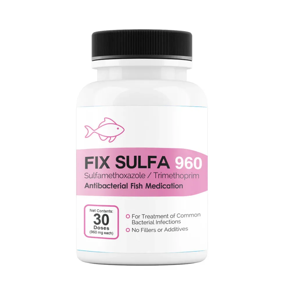 Fix Sulfa (Sulfamethoxazole/ Trimethoprim) Tablets Fish Antibiotics