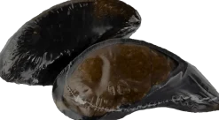 Flavored Chicken Filled Cow Hooves