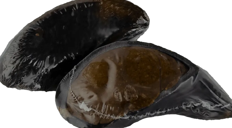 Flavored Peanut Butter Filled Cow Hooves