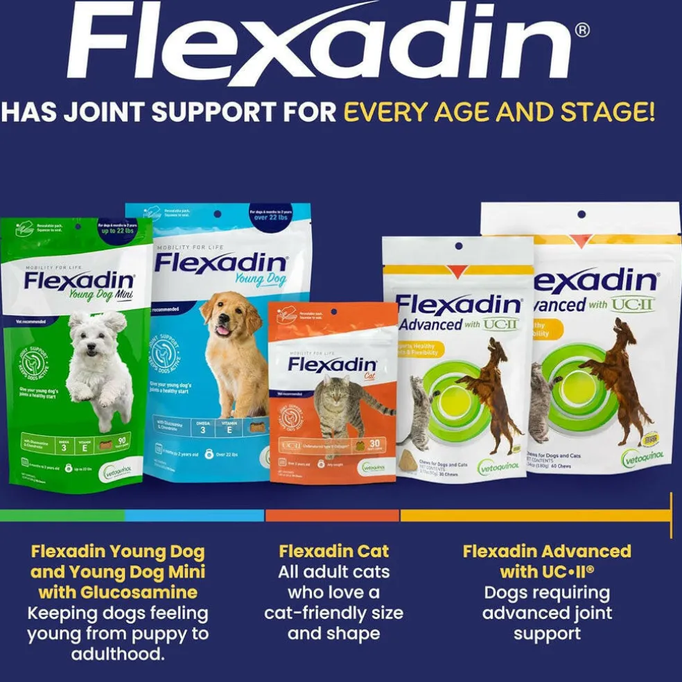 Flexadin Young Dog Mini Joint Supplement, 90 Tasty Chews