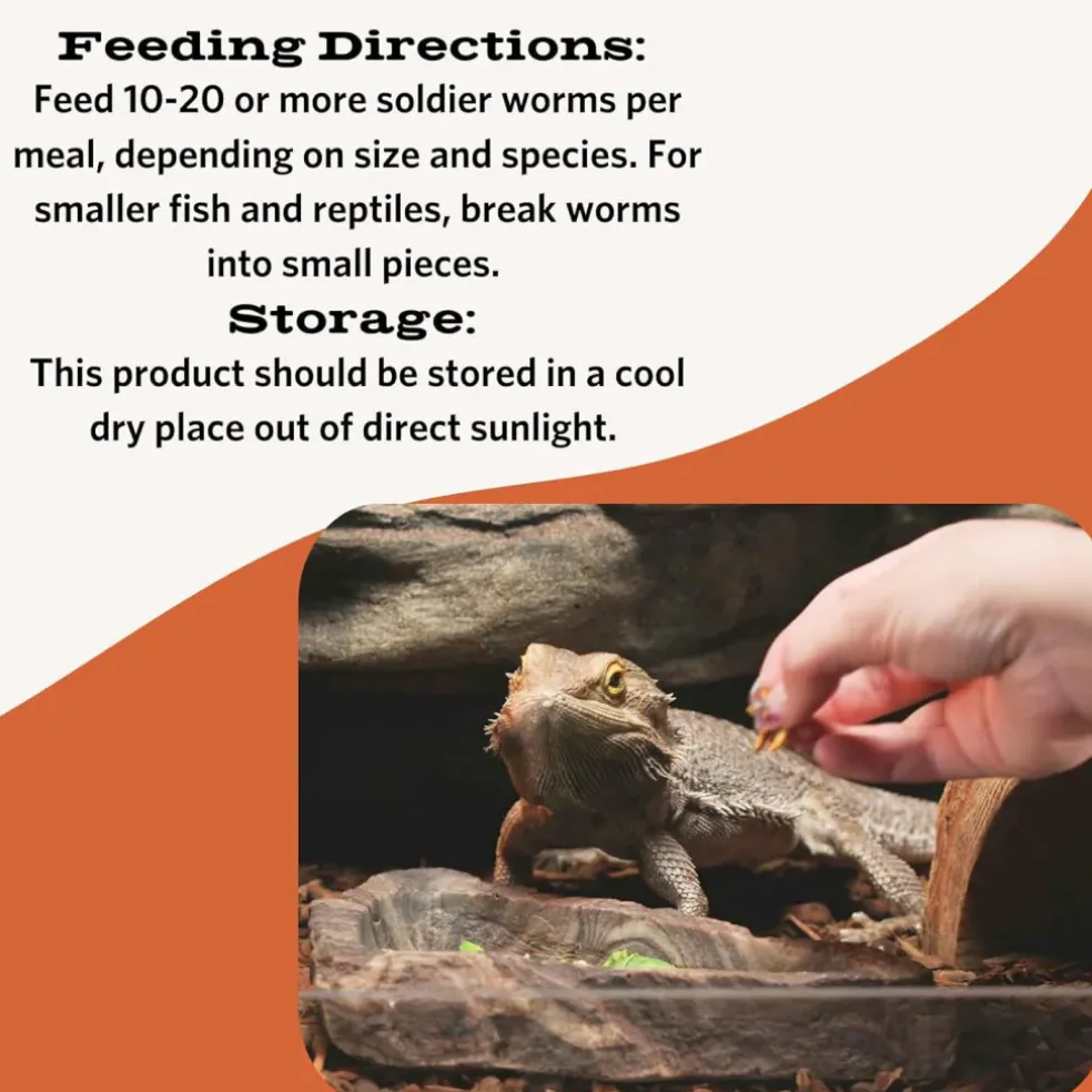 Fluker's Dried Soldier Worms (2.2 oz)