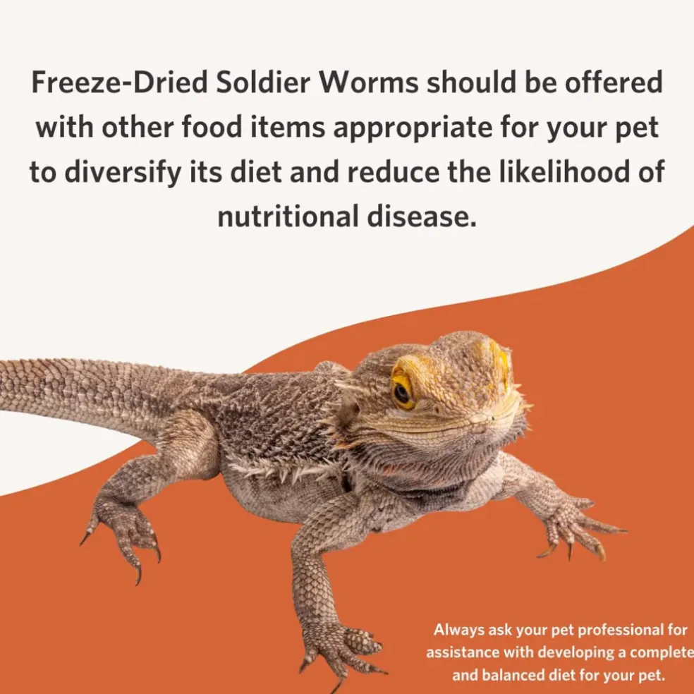 Fluker's Dried Soldier Worms (2.2 oz)