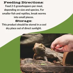 Fluker's Freeze-Dried Grasshoppers for Reptiles & Birds Treats (1 oz)