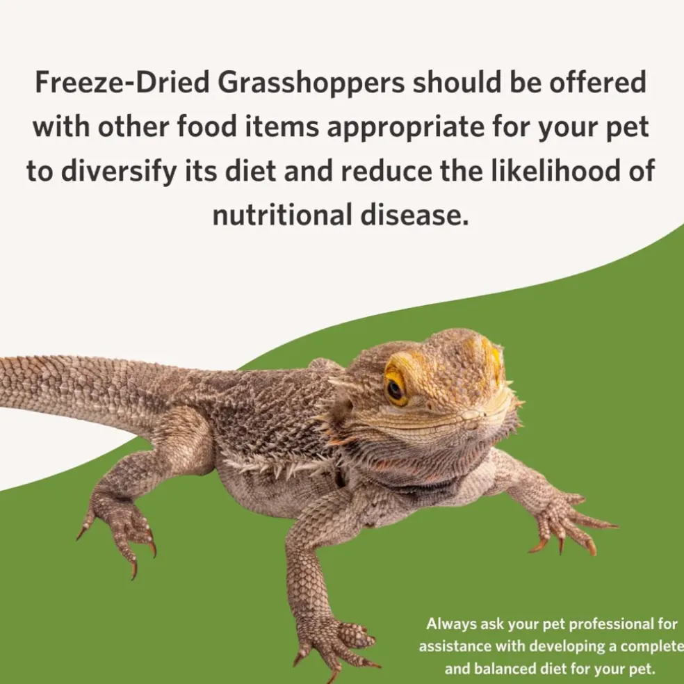Fluker's Freeze-Dried Grasshoppers for Reptiles & Birds Treats (1 oz)