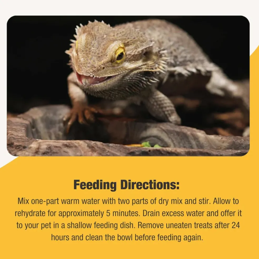 Fluker's Grub Bag Calcium Fortified Bearded Dragon Omnivore Blend Treats (4 oz)