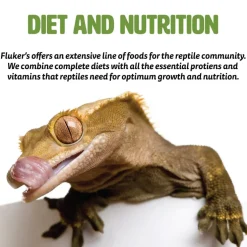 Fluker's Grub Bag Calcium Fortified Bearded Dragon Omnivore Blend Treats (4 oz)