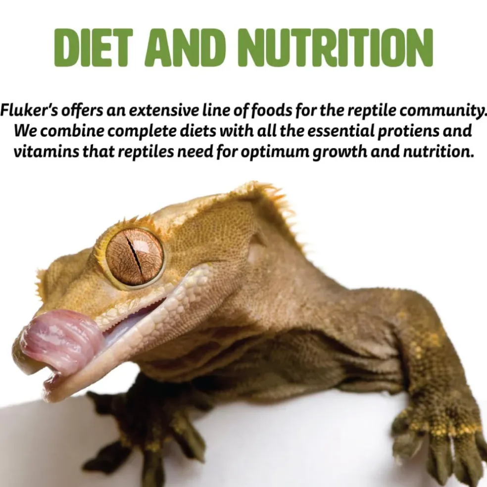 Fluker's Grub Bag Turtle Treats, Insect Blend