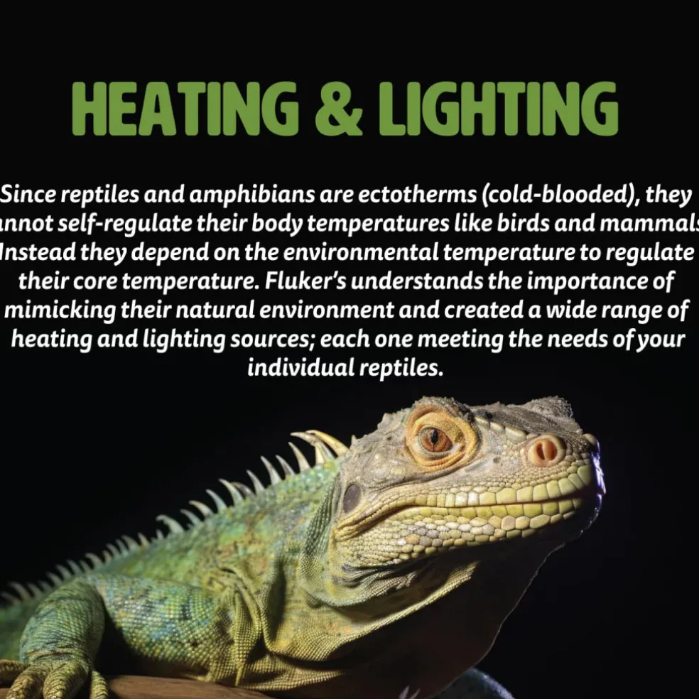 Fluker's Reptile Black Nightlight Bulbs For Reptiles