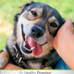 Four Paws Healthy Promise Aloe Ear Mite Treatment For Dogs (0.75 oz)