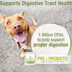 Four Paws Healthy Promise Pre & Probiotics Soft Chews For Dogs (90 ct)