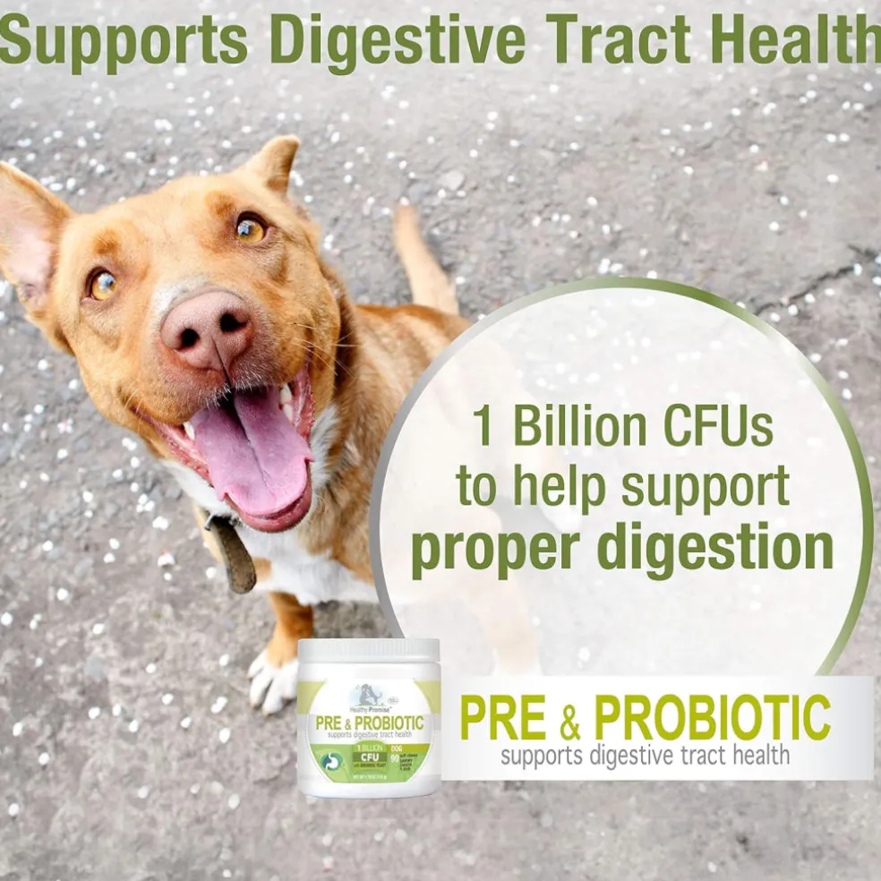 Four Paws Healthy Promise Pre & Probiotics Soft Chews For Dogs (90 ct)