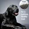 Four Paws Magic Coat Professional Series Flex & Contour Pin and Bristle Brush for Dogs